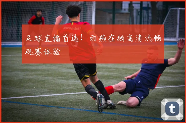 足球直播首选！雨燕在线高清流畅观赛体验
