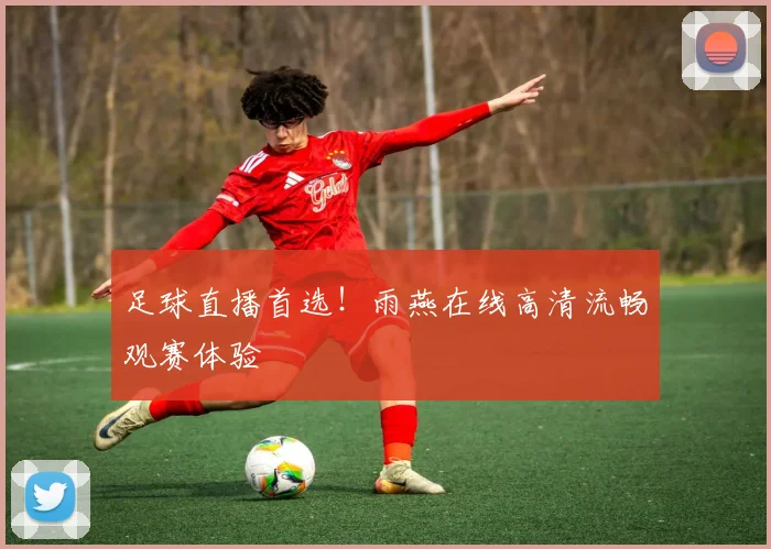 足球直播首选！雨燕在线高清流畅观赛体验